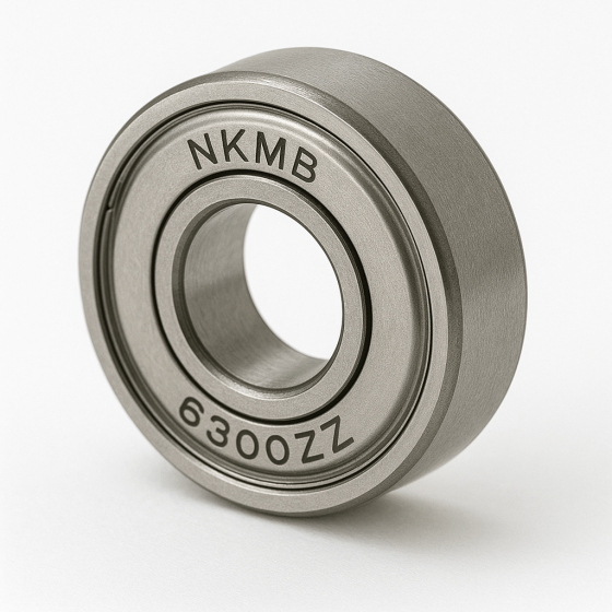 6300 Series Bearings