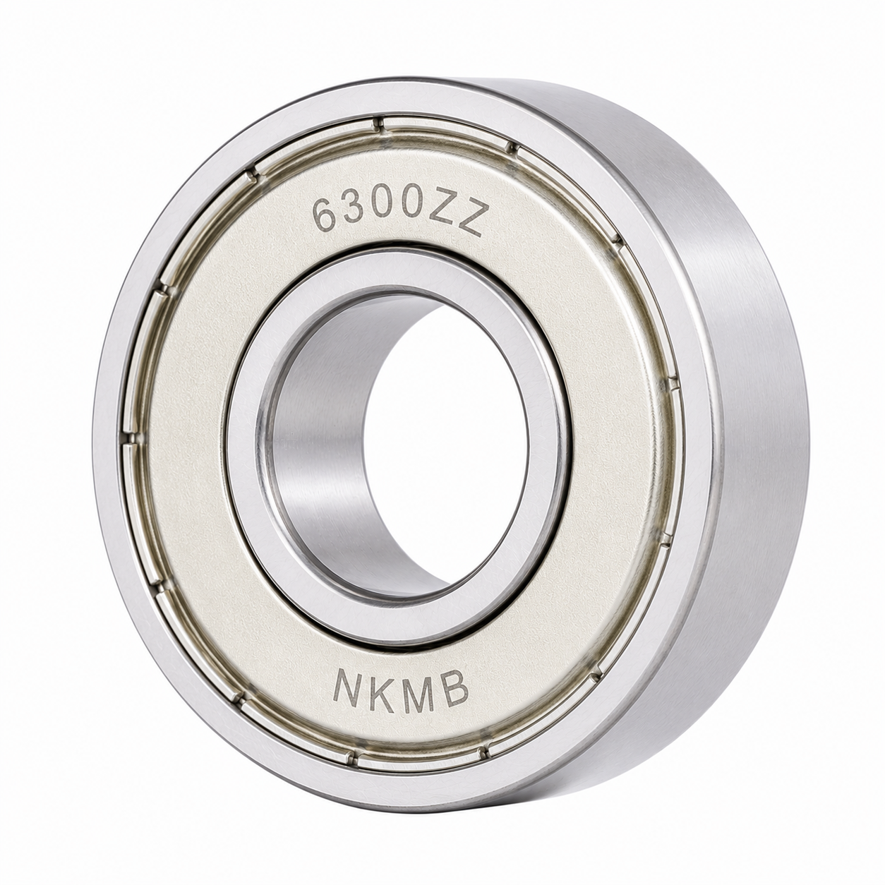 6300 Series Bearings